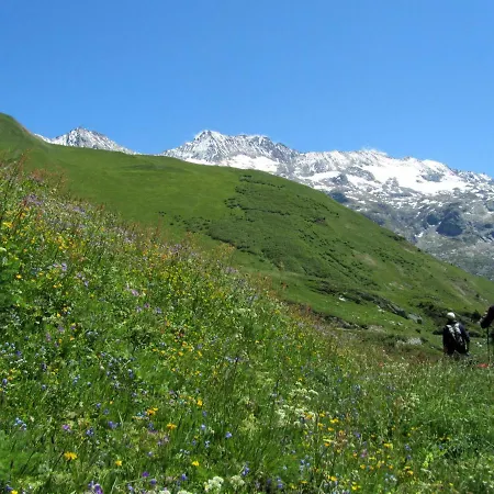Chalet L'aurelie Chalet Villard-Reculas