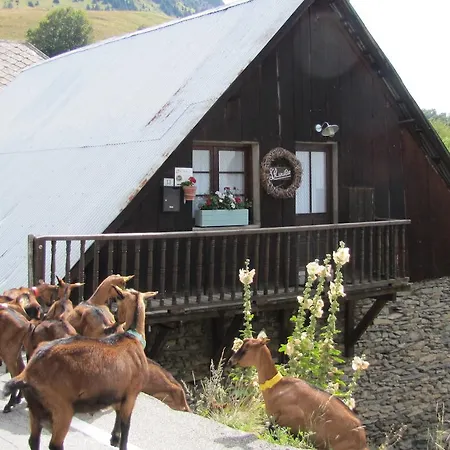 Chalet L'aurelie *